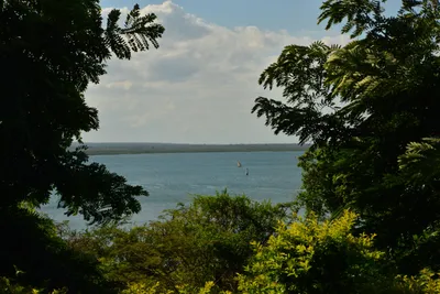 DSC_4595 (Large).JPG